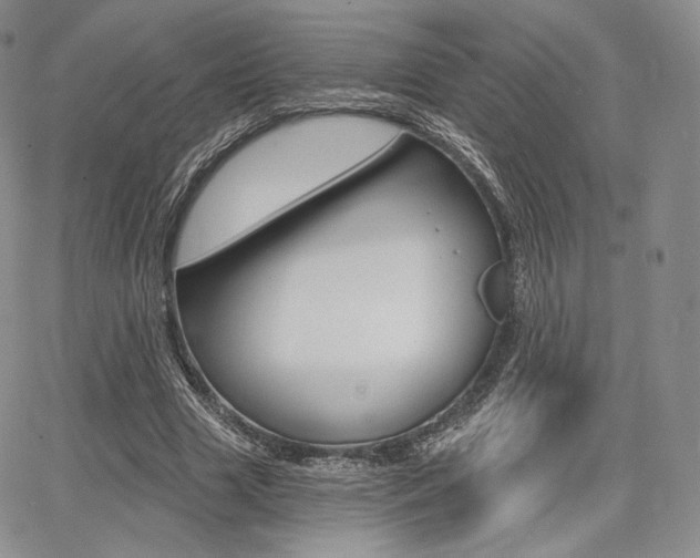 X0000068280633200604210917
