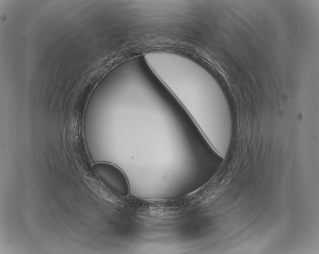 X0000068280641200604210917