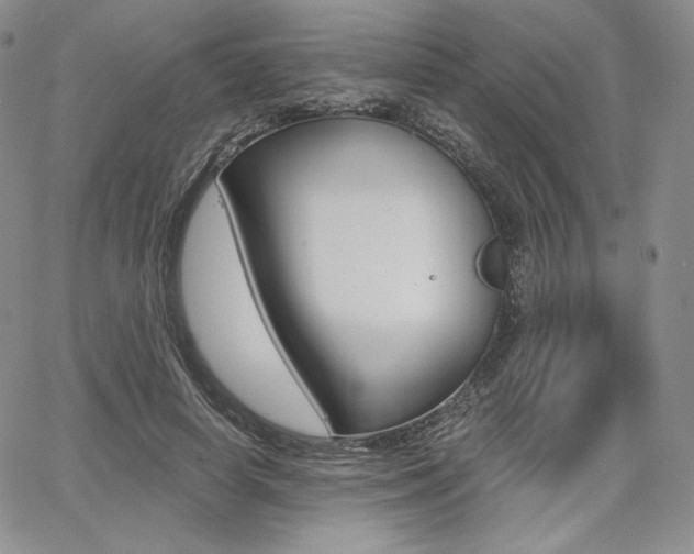 X0000068280642200604210917