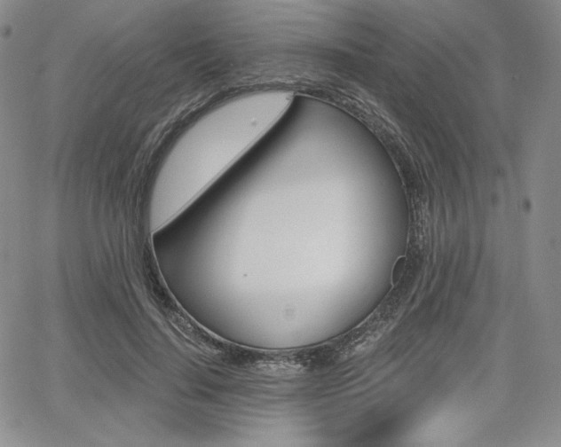 X0000068280644200604210917