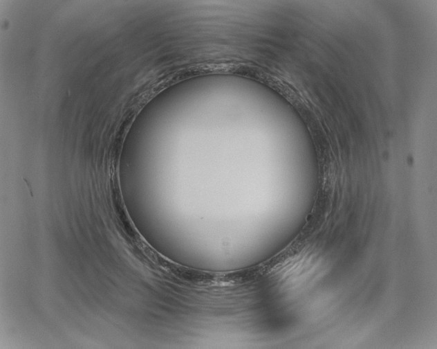 X0000068280647200604210917