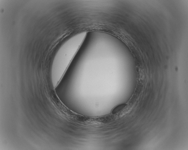 X0000068280648200604210917