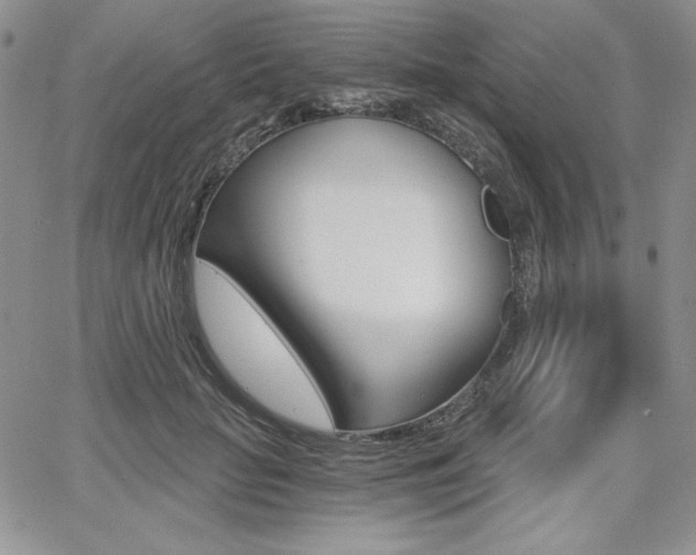 X0000068280653200604210917