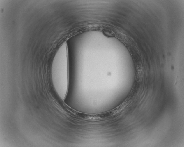 X0000068280654200604210917