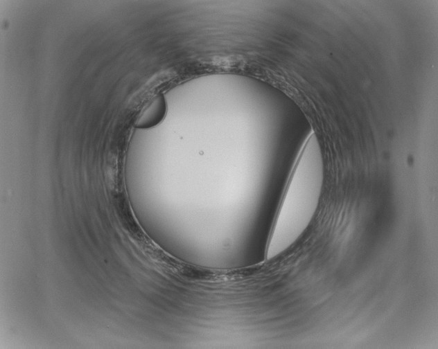 X0000068280656200604210917