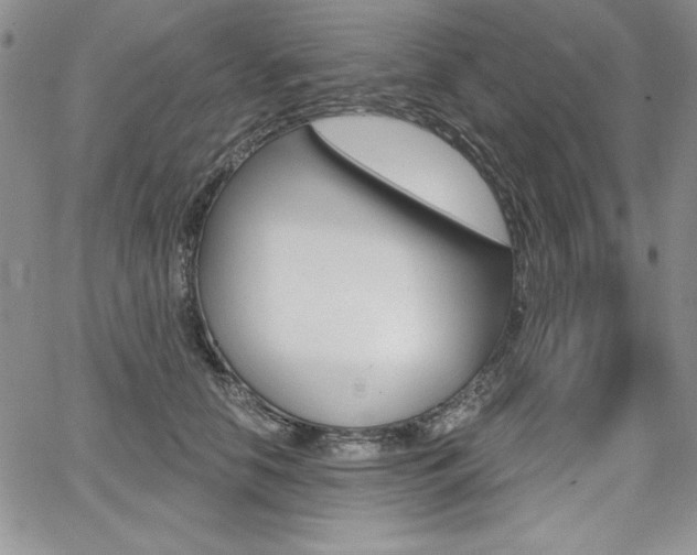 X0000068280658200604210917