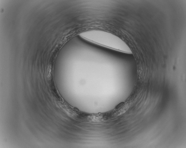 X0000068280660200604210917