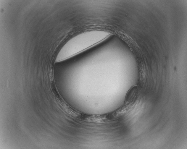 X0000068280661200604210917