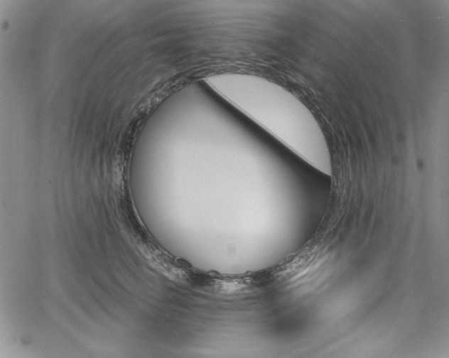 X0000068280662200604210917