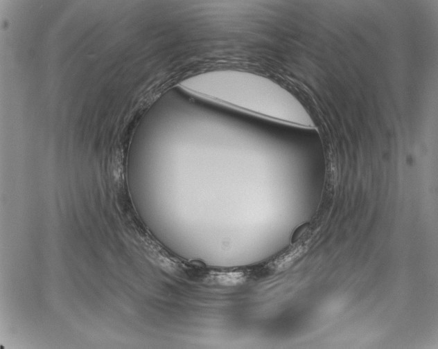 X0000068280665200604210917