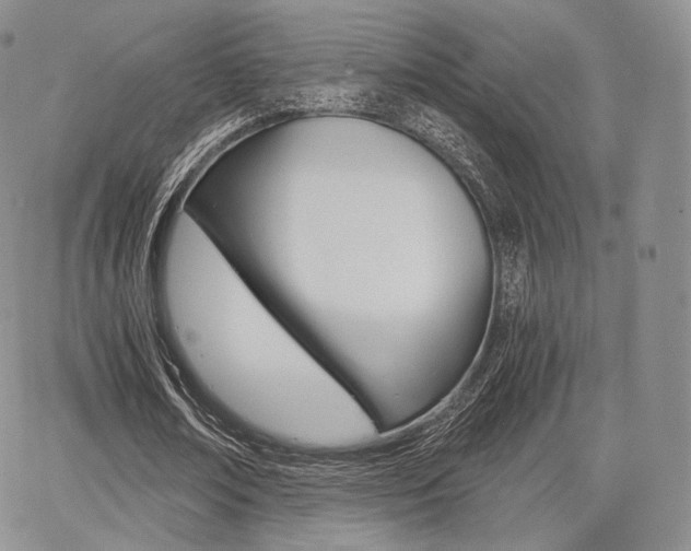 X0000068280674200604210917