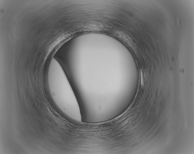 X0000068280675200604210917