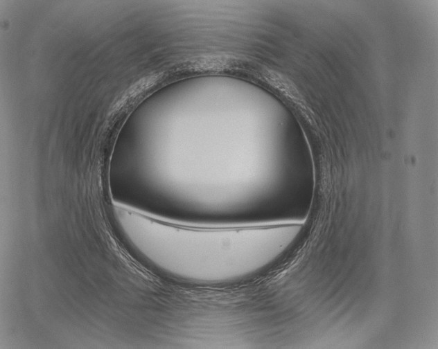 X0000068280681200604210916