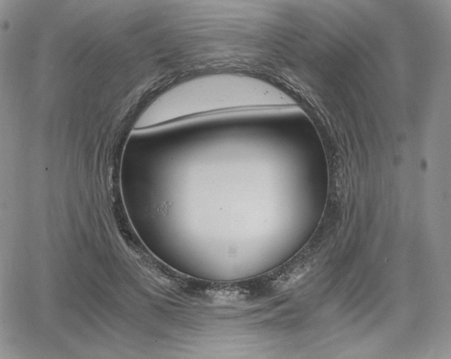 X0000068280693200604210916