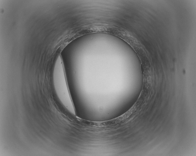 X0000068280696200604210916