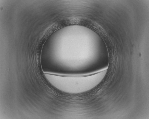 X0000068280697200604210916