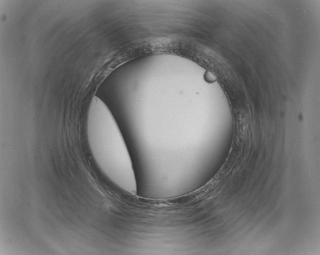X0000068280698200604210916