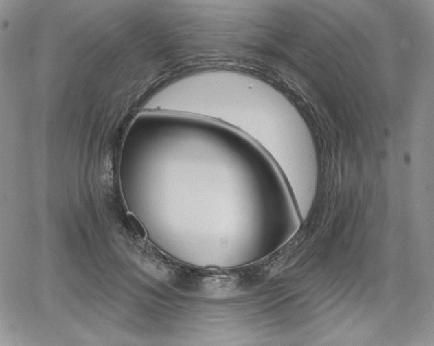 X0000068280700200604210916