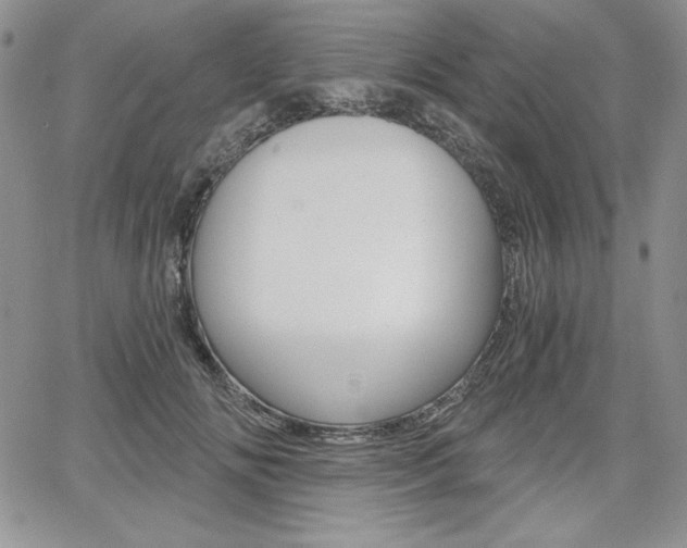 X0000068280702200604210916