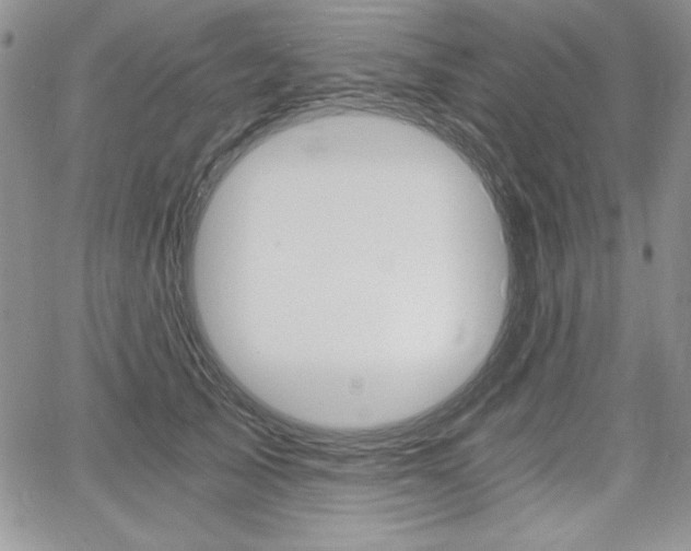 X0000068280705200604210916