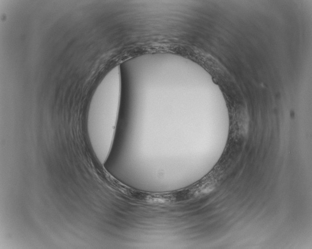X0000068280706200604210916