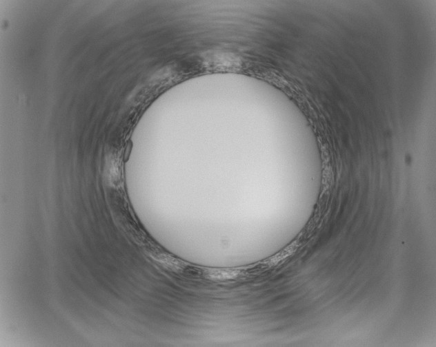 X0000068280709200604210916