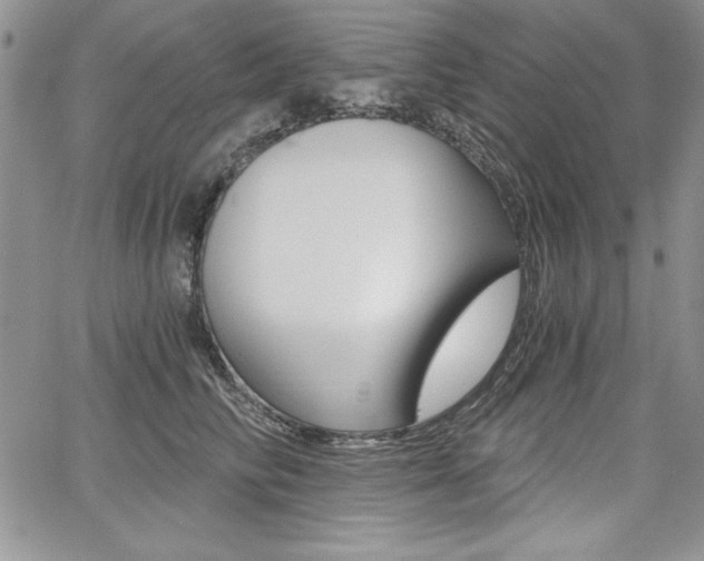 X0000068280710200604210916
