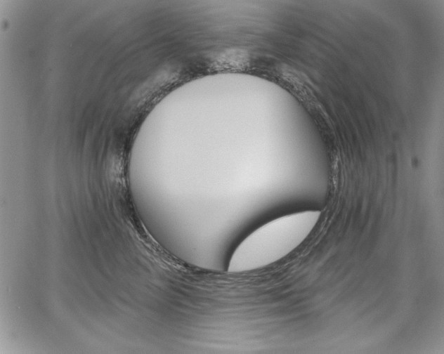X0000068280714200604210916