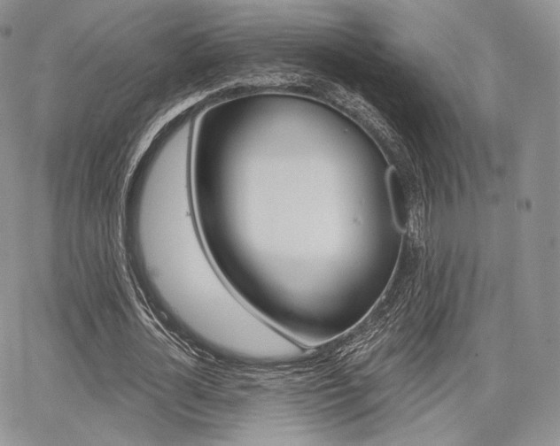 X0000068280724200604210915