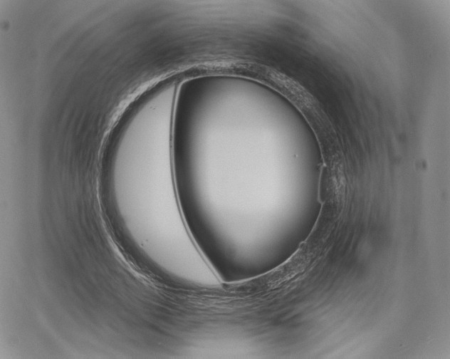 X0000068280728200604210915