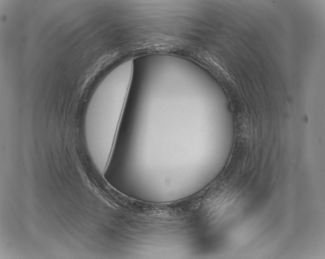 X0000068280738200604210915