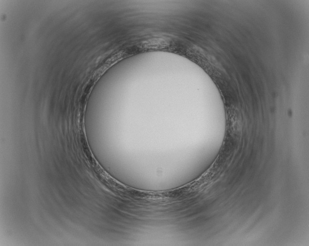 X0000068280745200604210915