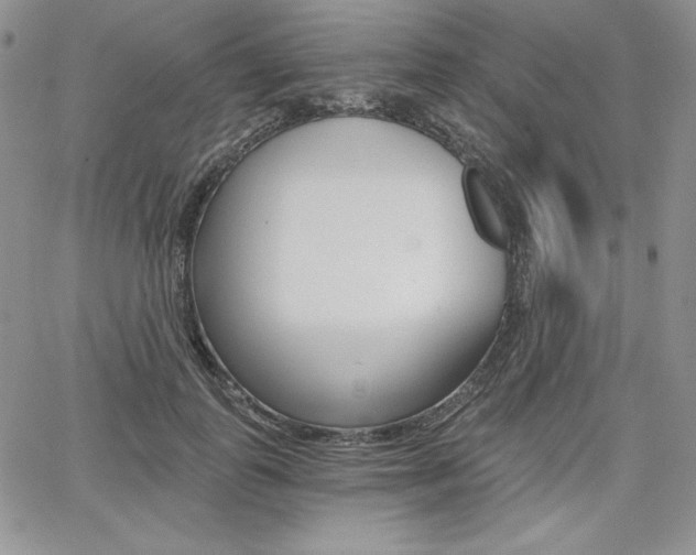 X0000068280747200604210915