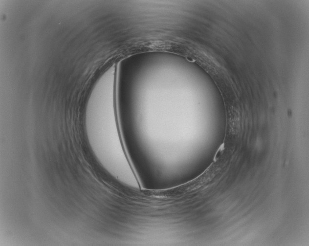 X0000068280748200604210915