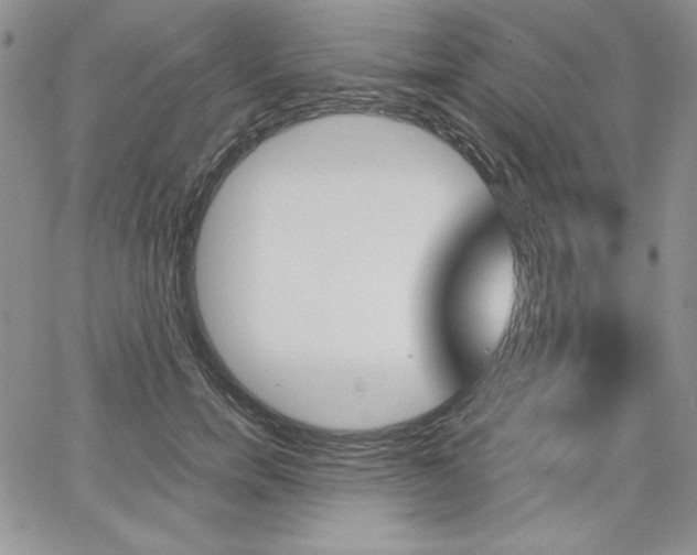 X0000068280750200604210915