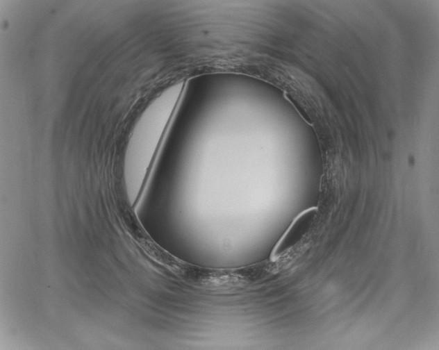 X0000068280752200604210916