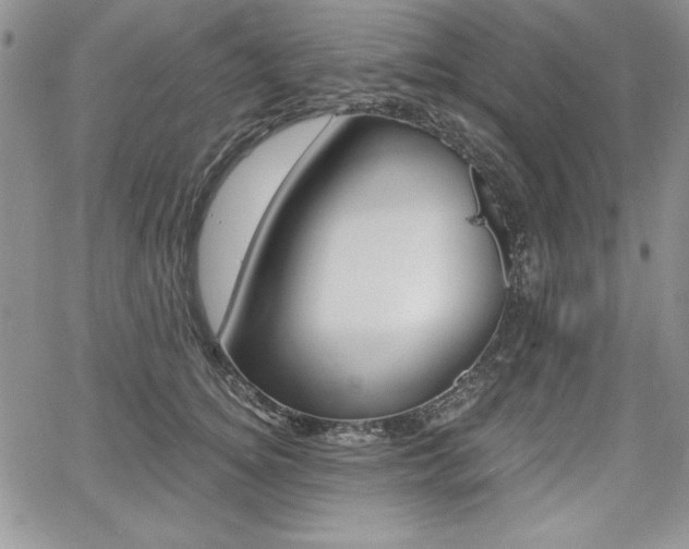 X0000068280756200604210916