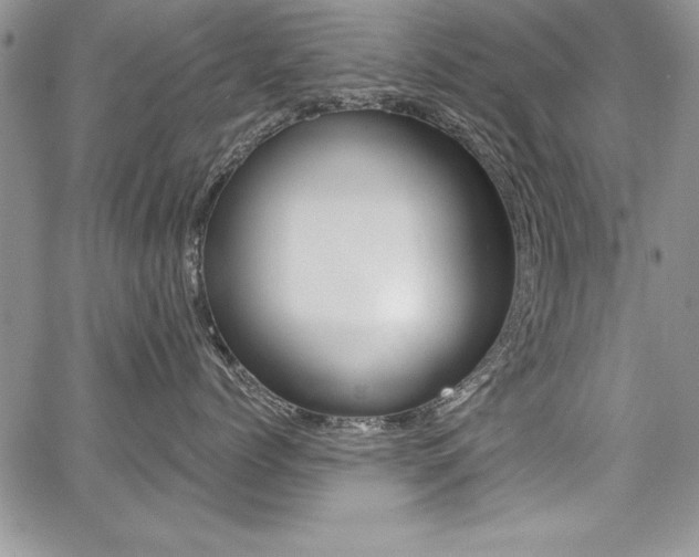 X0000068280768200604210916