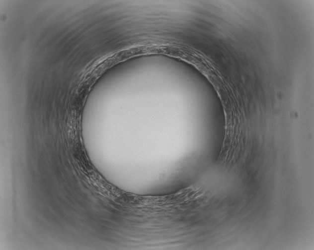 X0000068280773200604210915