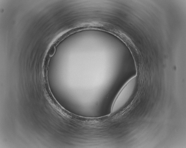 X0000068280784200604210915