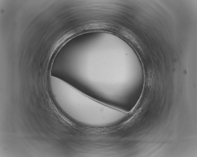 X0000068280786200604210915