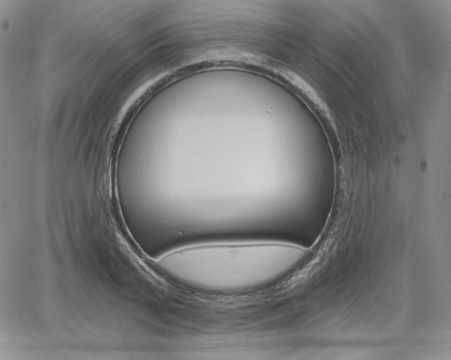 X0000068280791200604210915