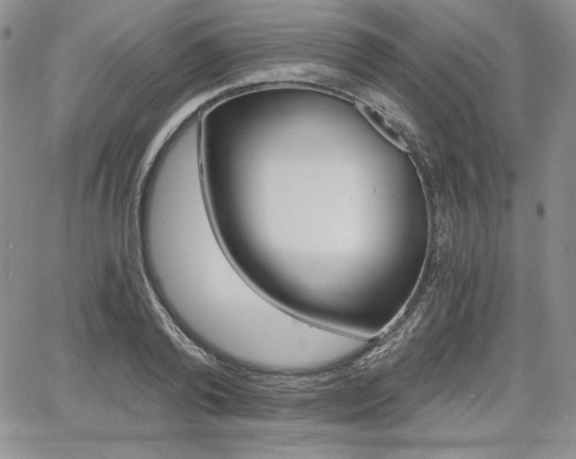 X0000068280792200604210915