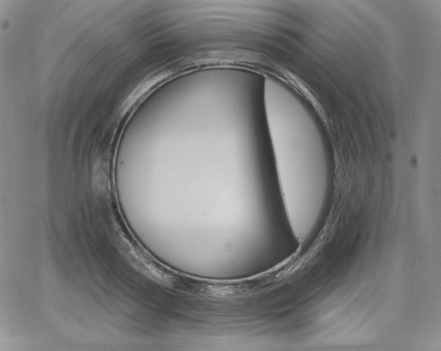 X0000068280794200604210915