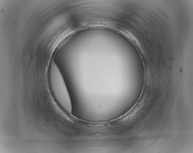 X0000068280798200604210914