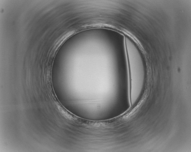 X0000068280801200604210914