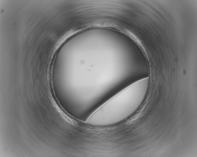 X0000068280803200604210914