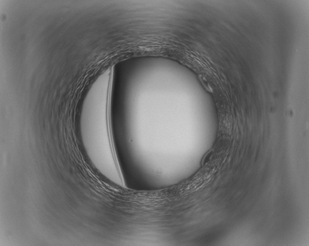 X0000068280817200604210913