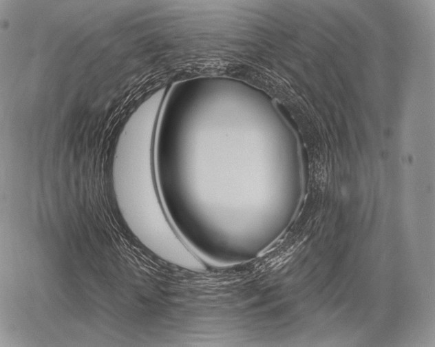 X0000068280818200604210913
