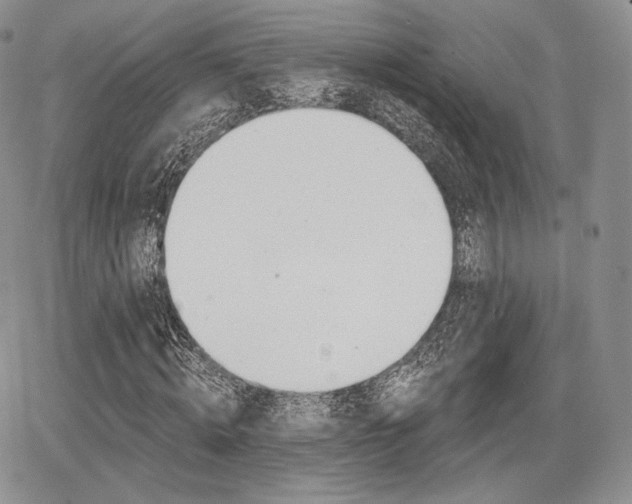 X0000068280820200604210913